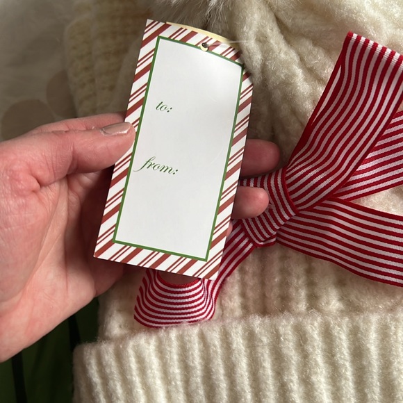 NWT Soft ivory beanie and scarf set - Picture 4 of 6